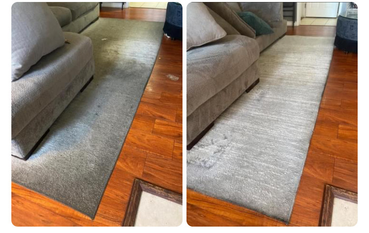 Keep Your Rugs Looking New: A Complete Care and Cleaning Guide