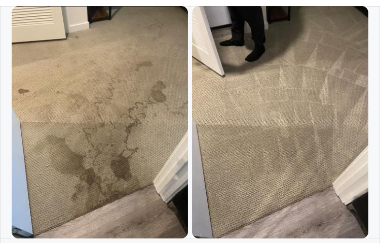 The Importance of Professional Carpet Cleaning Services with Local Cleaning Services