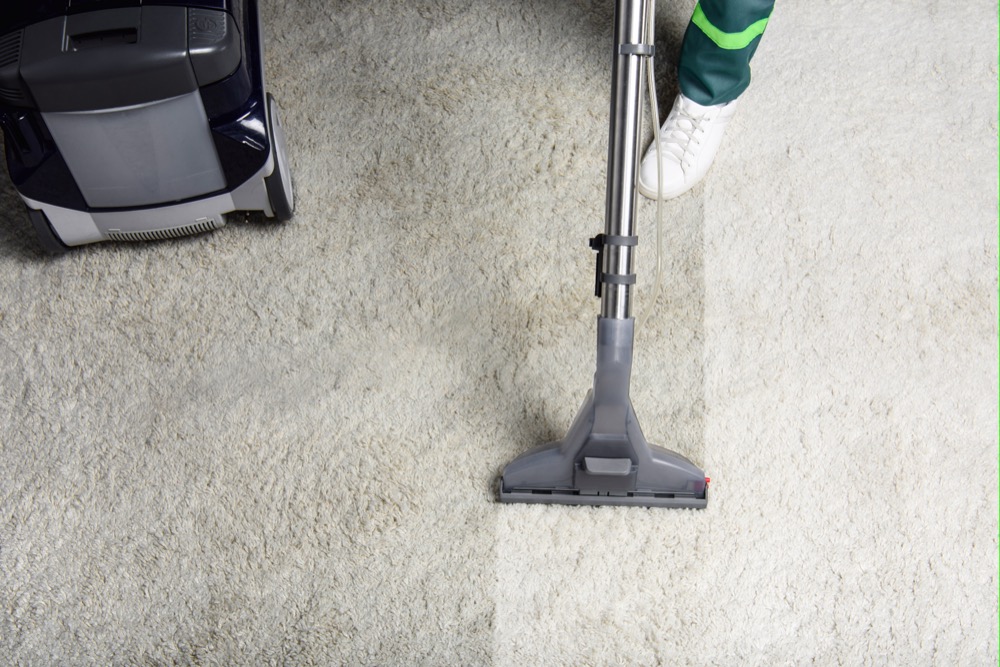 Why Professional Carpet Cleaning is Essential for LA Pet Owners